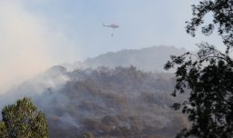 Declaran Alerta Amarilla en Cauquenes por incendio forestal