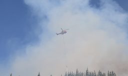 Detienen a sujeto que causó incendio forestal en Melipilla: Es operario agrícola y estaba realizando labores de despeje