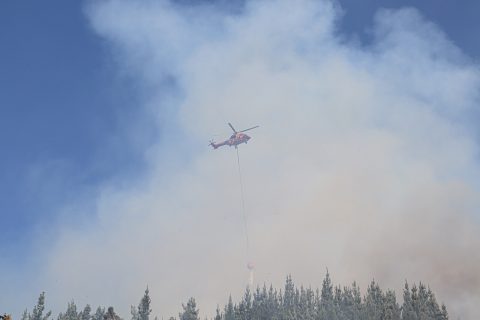 Detienen a sujeto que causó incendio forestal en Melipilla: Es operario agrícola y estaba realizando labores de despeje