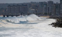 Viña del Mar: Sujeto ebrio fue detenido tras ingresar al mar en Playa Acapulco a pesar de aviso por marejadas anormales