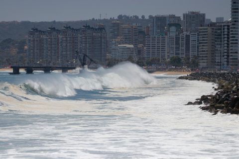 Viña del Mar: Sujeto ebrio fue detenido tras ingresar al mar en Playa Acapulco a pesar de aviso por marejadas anormales