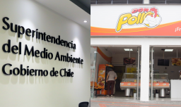 Por incumplimientos ambientales: SMA multa a empresa agrícola Don Pollo con el pago de más de $259 millones