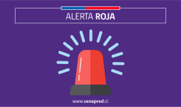 Senapred declara alerta roja por incendio forestal en la comuna de Pumanque