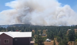 Declaran Alerta Roja para Los Álamos por incendio que ha consumido 300 hectáreas: Siniestro amenaza población Toco Toco