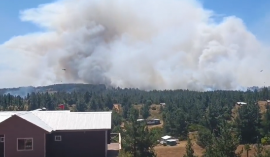 Declaran Alerta Roja para Los Álamos por incendio que ha consumido 300 hectáreas: Siniestro amenaza población Toco Toco