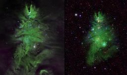 ¿Celebración en el espacio? La NASA revela impresionante imagen de un cúmulo de estrellas formando un árbol de Navidad