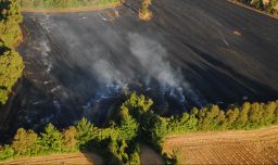 Conaf decreta restricción de uso de fuego en 9 regiones del país para evitar propagación de incendios forestales