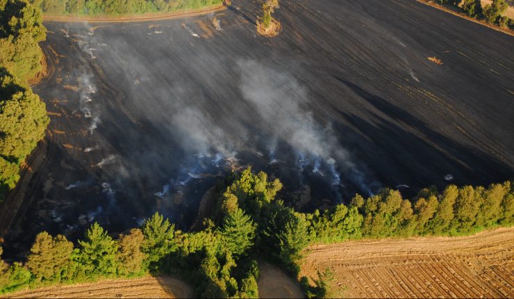 Restricción de fuego en 9 regiones para prevenir incendios