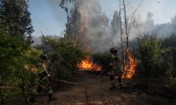 Detienen a trabajador por provocar incendio forestal en Limache tras utilizar galletero