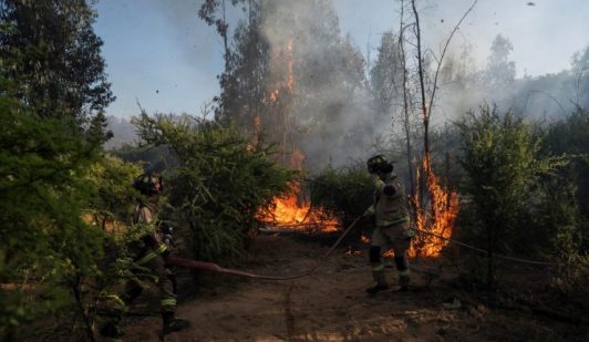 Continúa emergencia en Cauquenes: Incendio forestal arrasa con 940 hectáreas y mantiene bajo Alerta Roja la comuna