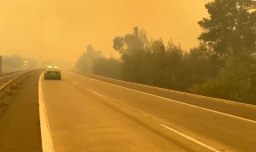 Incendio forestal en Casablanca obligó a cortar tránsito en la Ruta 68: Siniestro consumió 10,2 hectáreas