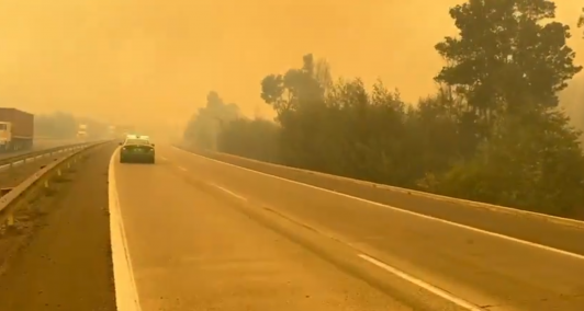 Incendio forestal en Casablanca obligó a cortar tránsito en la Ruta 68: Siniestro consumió 10,2 hectáreas