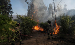 Declaran Alerta Roja en Paine: Incendio "Rangue 2" avanza y amenaza sectores poblados