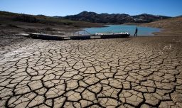 2024 fue el año más cálido y el primero con temperatura 1,5° C superior al nivel preindustrial, reporta Copernicus