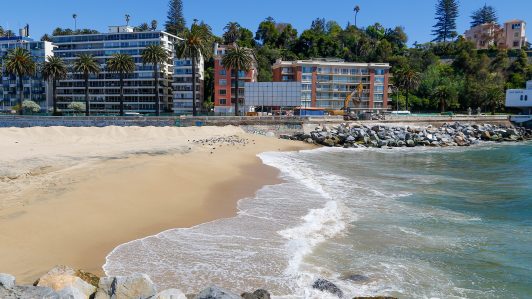 "Te amo, hoy te honro": Madre de Anahí Espíndola despide a su hija con emotiva ceremonia en playa Puente Casino