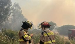 Senapred declara alerta roja en Talagante por incendio forestal cercano a zonas pobladas