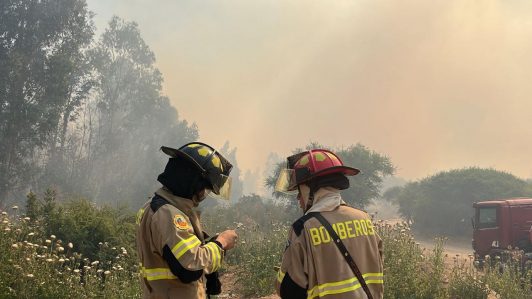 Senapred declara alerta roja en Talagante por incendio forestal cercano a zonas pobladas