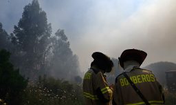 Declaran alerta roja en Lebu por incendio forestal: Está cercano a zonas pobladas