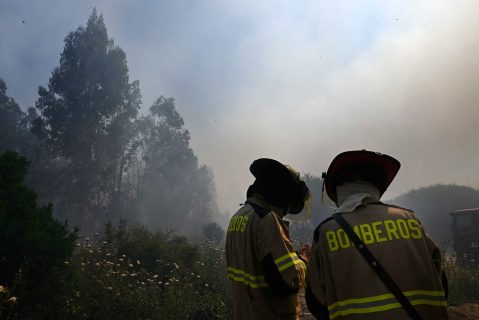 Declaran alerta roja en Lebu por incendio forestal: Está cercano a zonas pobladas