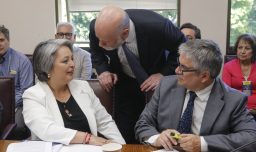 Reforma de pensiones: Guía completa sobre lo presentado por el Gobierno ante la Comisión de Trabajo del Senado