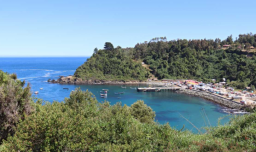 "Estamos en el mar, nos estamos ahogando": Revelan llamado realizado por uno de los pasajeros del naufragio en Bahía Mansa