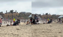 Mensaje viral de salvavidas de playa Los Molles tras decir que parlantes están prohibidos: "Si quiere escuchar música, use audífonos"