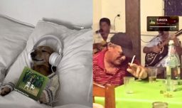 Bad Bunny lanza su nuevo álbum "Debí tirar más fotos": Revisa los mejores memes que ha dejado en redes sociales