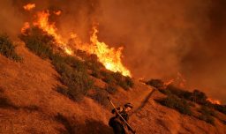 "Estamos sufriendo y en shock": Alcaldesa de Los Ángeles expresa preocupación por propagación de incendios forestales