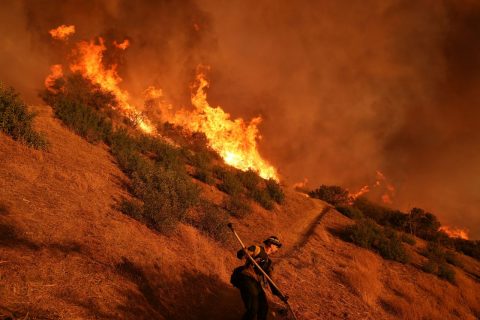 "Estamos sufriendo y en shock": Alcaldesa de Los Ángeles expresa preocupación por propagación de incendios forestales