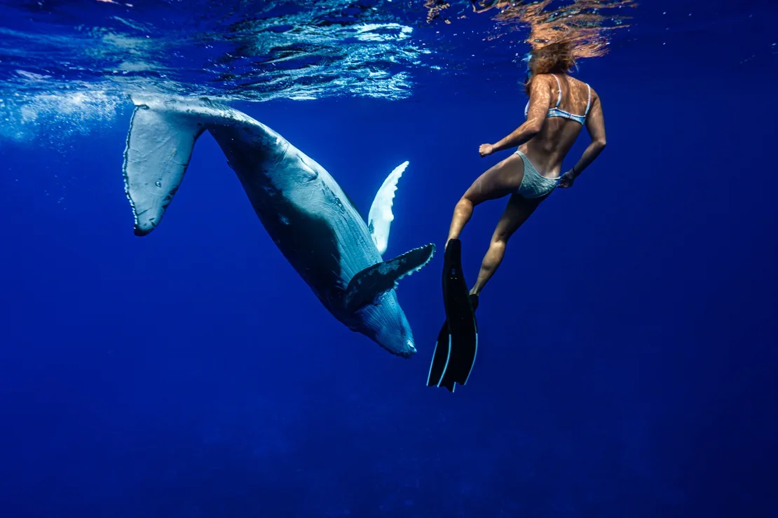 Las aguas territoriales de Niue han sido designadas como parque marino de usos múltiples. Grant Nicholson/Niue Tourism