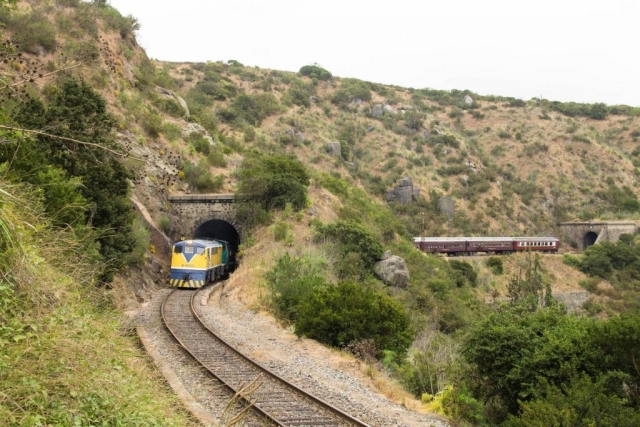 Trenes turísticos: Revisa los recorridos y tarifas para la temporada de verano 2025/Foto: Tren del Recuerdo