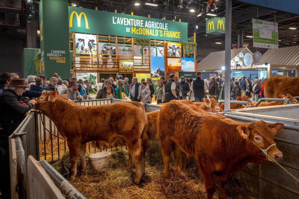 Se ve ganado Limousin cerca de un puesto de McDonald's en el Salón Internacional de la Agricultura de París en 2024 | Vía CNN Newsource