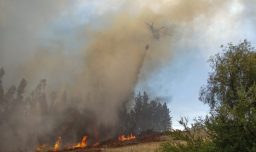 Hay 7 en combate y 166 hectareas consumidas: Entregan nuevo balance de incendios en la Región de La Araucanía