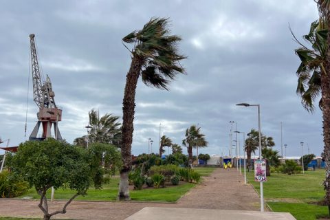 Vientos de hasta 50 km/h en el sur del país: Pronóstico del tiempo para este miércoles 5 de enero