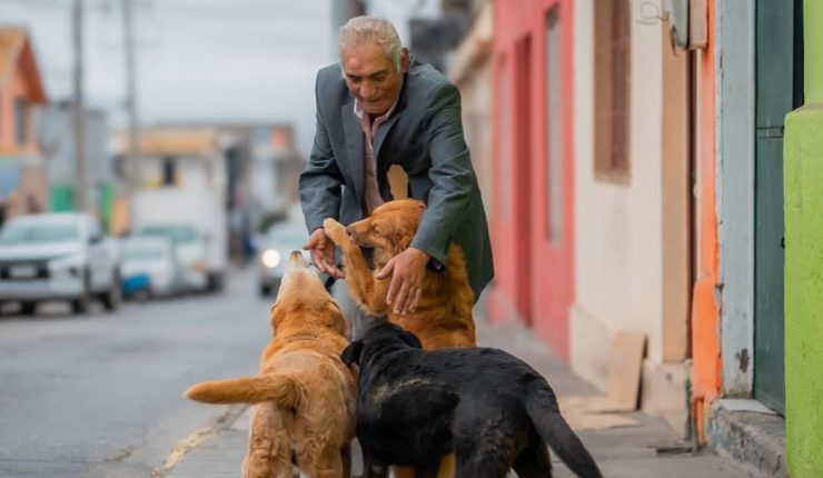 Adulto mayor de 75 años estudiará medicina Veterinaria para ayudar a los animales