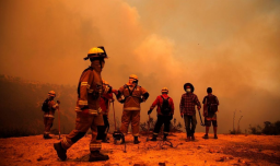 Conaf actualiza cifras: 26 incendios permanecen en combate a nivel nacional y más de 14 mil hectáreas consumidas en La Araucanía