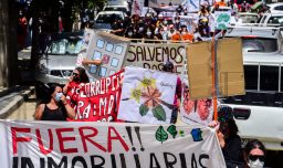 Nuevo informe: En Chile se vulneraron los derechos de 27 ambientalistas durante 2024, siendo el año con más casos