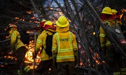 Región de La Araucanía: Muere brigadista de Conaf tras sufrir accidente durante labores de combate de incendios en Victoria