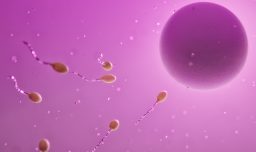 La calidad del esperma podría predecir la esperanza de vida en los hombres, según estudio