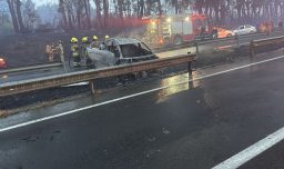 Caos en la Ruta 5 Sur: Incendio forestal fuera de control consume al menos dos vehículos y provoca suspensión de tránsito