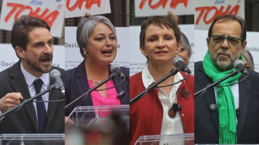 Unidad, compromiso con los derechos sociales y descentralización: Las claves de los candidatos oficialistas de cara a las primarias