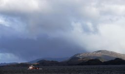 Población del sur de Argentina también debió evacuar tras terremoto en Chile