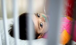 ONU acusa a Israel de seguir bloqueando ayuda a Gaza: Advierten que 14 mil bebés podrían morir
