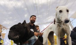 7 de cada 10 millennials prefiere tener mascotas antes que hijos, según estudio