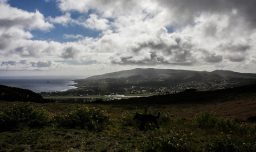Decretan alerta roja en Isla de Pascua por incendio forestal cercano a sectores poblados