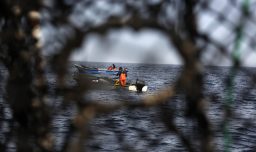 Fraccionamiento de la Pesca podría ser despachado a ley esta semana