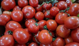 IPC de abril subió 0,2%: Tomates, arriendos y autos nuevos vieron alzas en sus precios