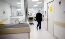 Qué problemas puede provocar la exposición al plomo en la salud de niños y adultos y cómo reducir las posibilidades