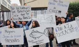 Ley de Fraccionamiento: PacificBlu anuncia cierre, Landes acusa expropiación y diputada alerta por empleo