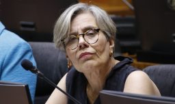 Diputada Fries valora decisión del fiscal Valencia de remover a Cooper del caso ProCultura: "Es lo que corresponde"